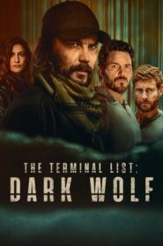 The Terminal List: Dark Wolf (2025) Hindi Season 1 Complete